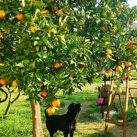 Nyaraló I Tigli Casalbordino